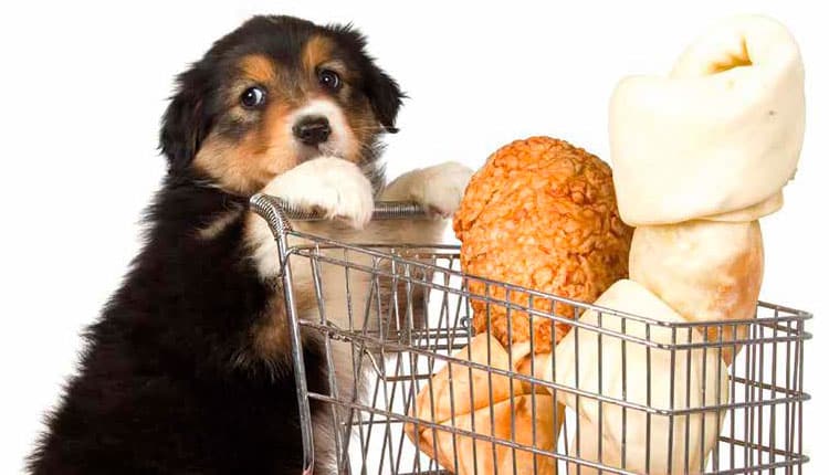 Varejo pet cresce 16,4% e fatura 60,2 bilhões em 2022