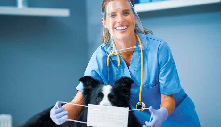 Covid-19 - O mundo veterinário antes, durante e depois