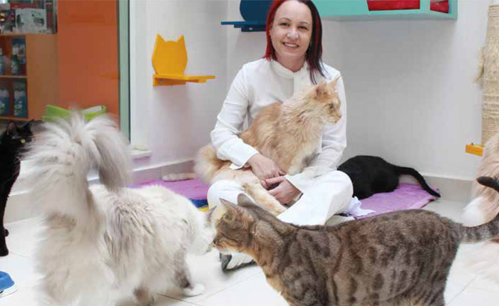 Medicina Veterinária evolui e abre espaço para especialistas