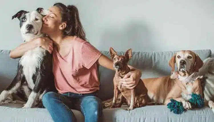 Animais em condomínios e o novo paradigma legal no mercado pet