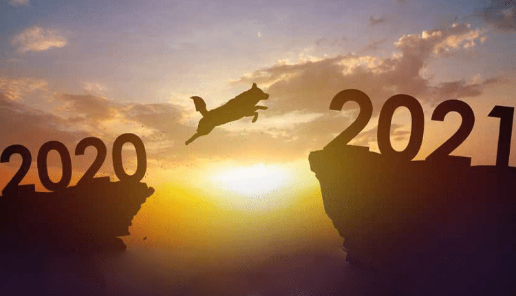 Desafios e perspectivas do mercado pet para 2021